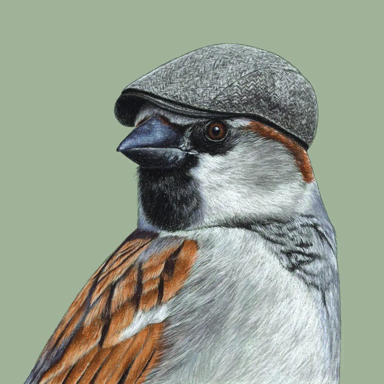 House Sparrow II by Mikhail Vedernikov wall art