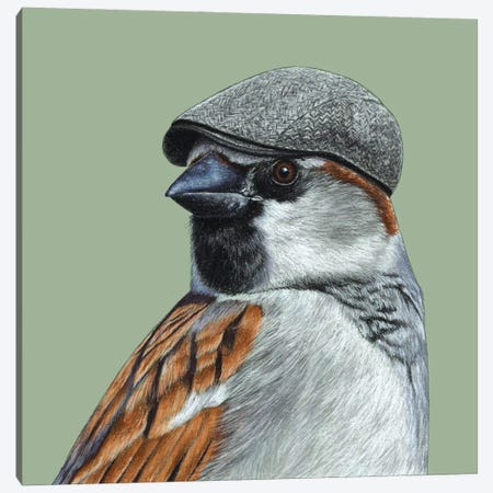 House Sparrow II Canvas Print #MIV164} by Mikhail Vedernikov Canvas Art Print