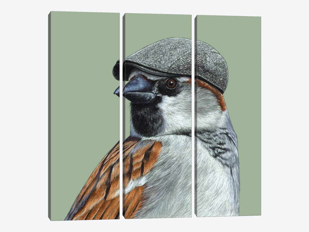House Sparrow II by Mikhail Vedernikov 3-piece Canvas Art