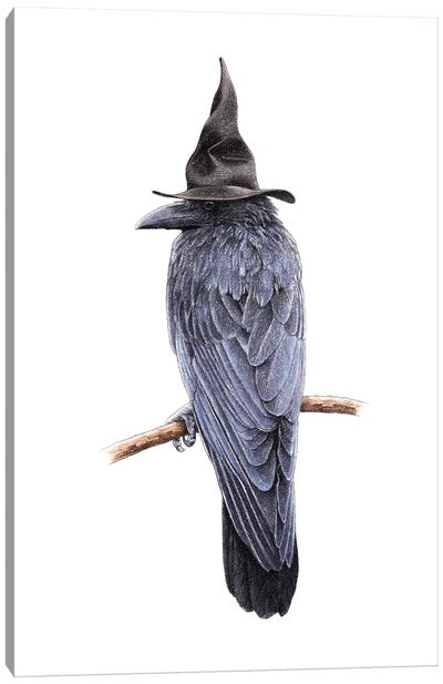 Large-Billed Crow Canvas Art Print - Witch Art