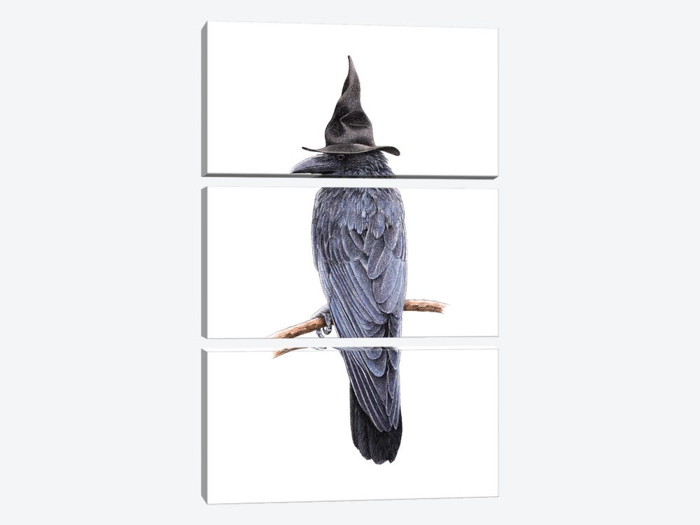 Large-Billed Crow by Mikhail Vedernikov 3-piece Art Print