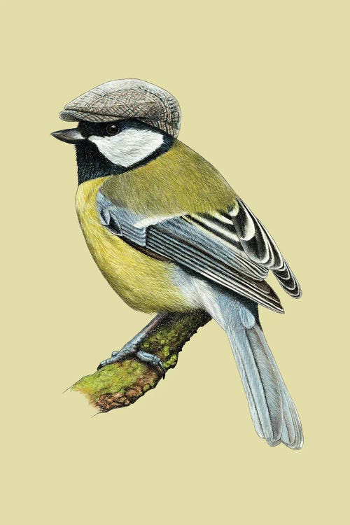 Great Tit IV