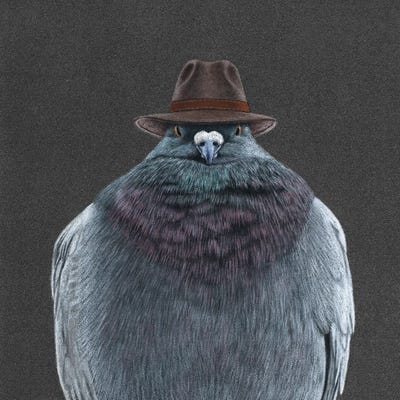Don Pigeon by Mikhail Vedernikov metal wall art