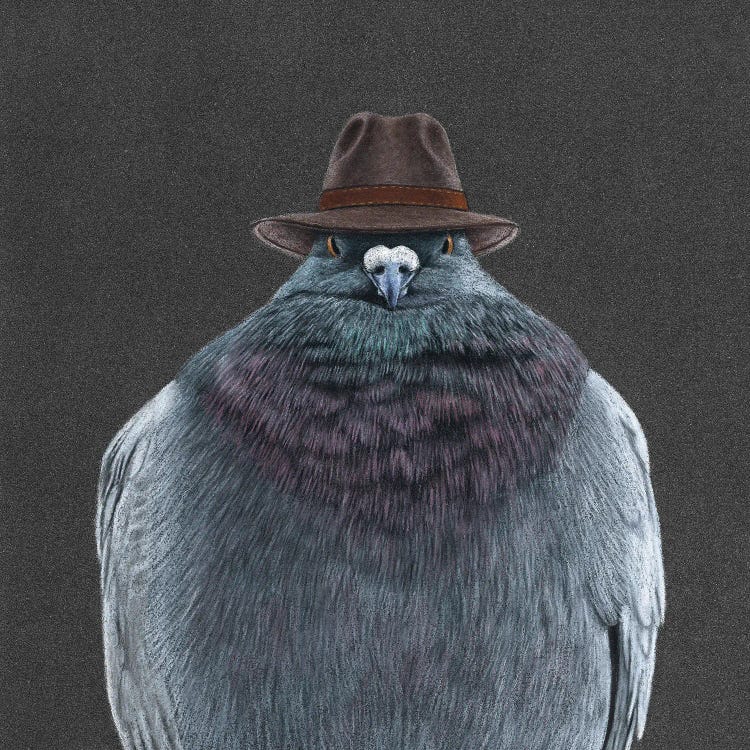 Don Pigeon by Mikhail Vedernikov wall art