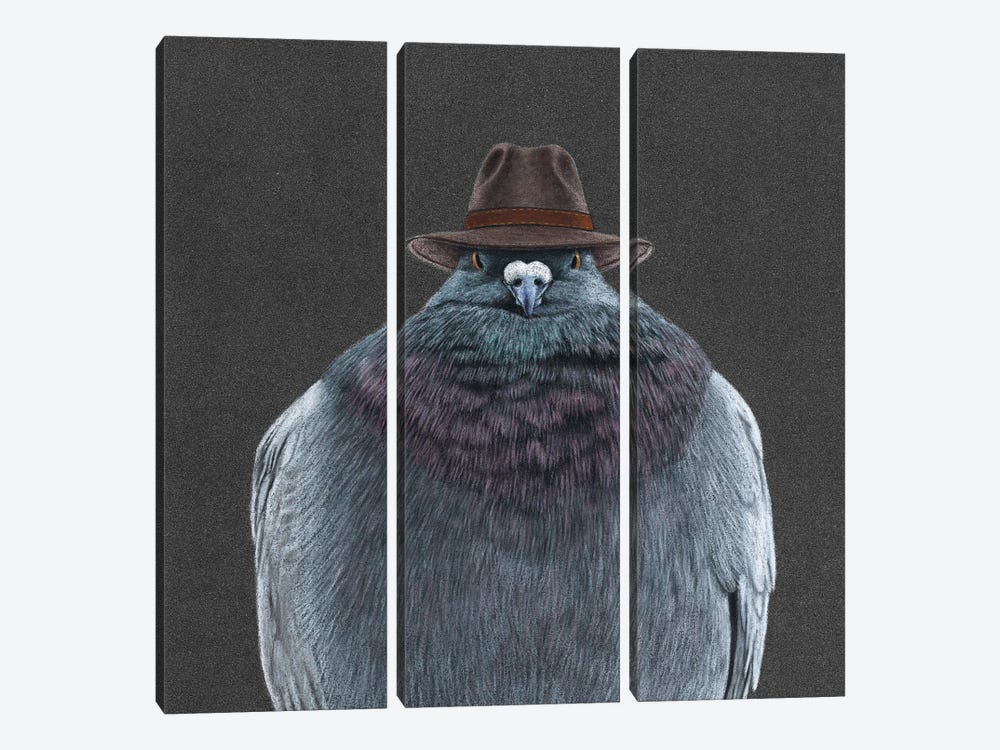 Don Pigeon by Mikhail Vedernikov 3-piece Canvas Art