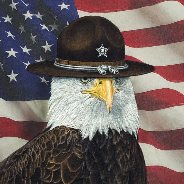 American Flags: USA Sheriff by Mikhail Vedernikov