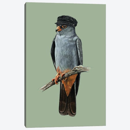 Red-Footed Falcon Canvas Print #MIV170} by Mikhail Vedernikov Canvas Print