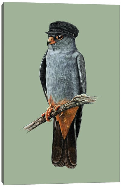 Red-Footed Falcon Canvas Art Print - Falcon Art