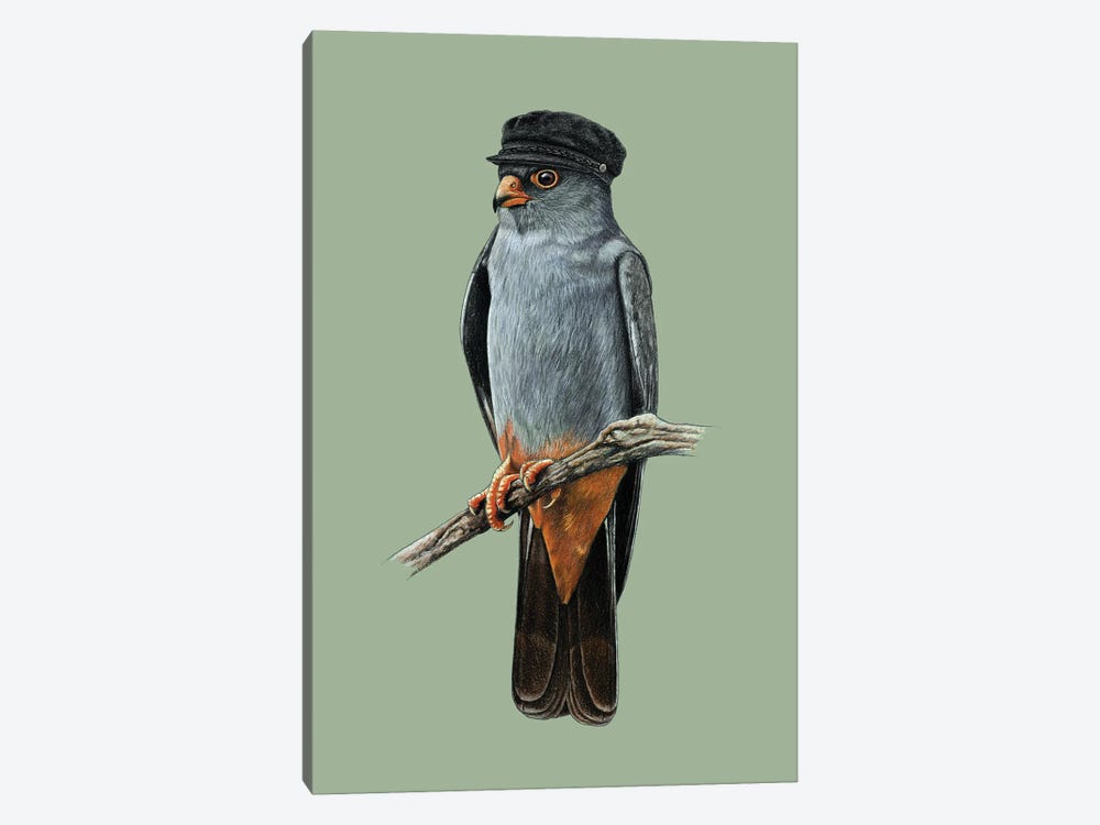 Red-Footed Falcon by Mikhail Vedernikov 1-piece Art Print