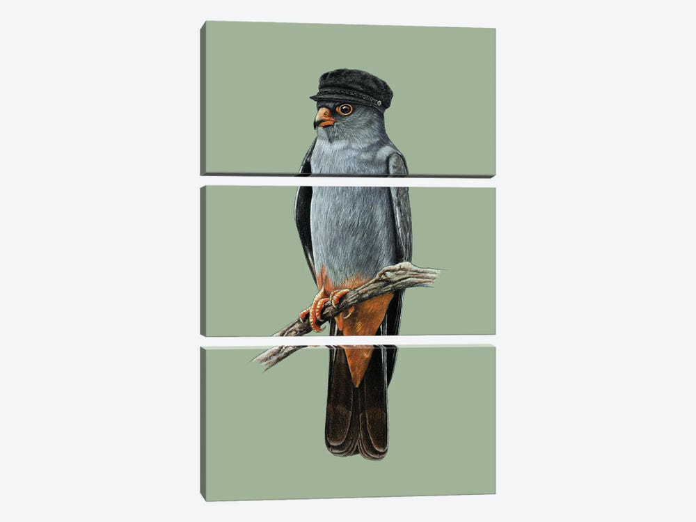 Red-Footed Falcon by Mikhail Vedernikov 3-piece Canvas Print