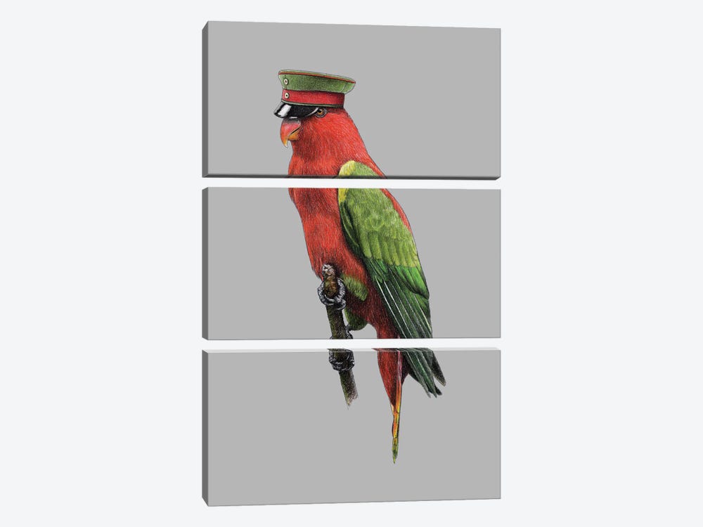 Chattering lory by Mikhail Vedernikov 3-piece Canvas Artwork