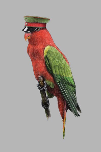 Parrots: Chattering lory by Mikhail Vedernikov
