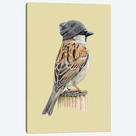 Tree Sparrow II Canvas Print #MIV174} by Mikhail Vedernikov Canvas Artwork
