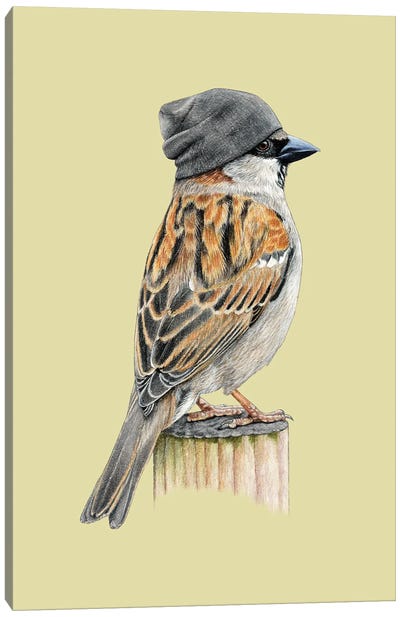 Tree Sparrow II Canvas Art Print - Mikhail Vedernikov