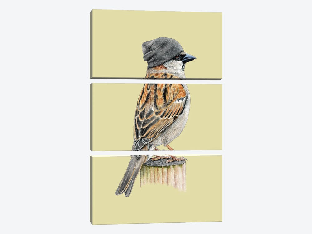 Tree Sparrow II by Mikhail Vedernikov 3-piece Canvas Art Print
