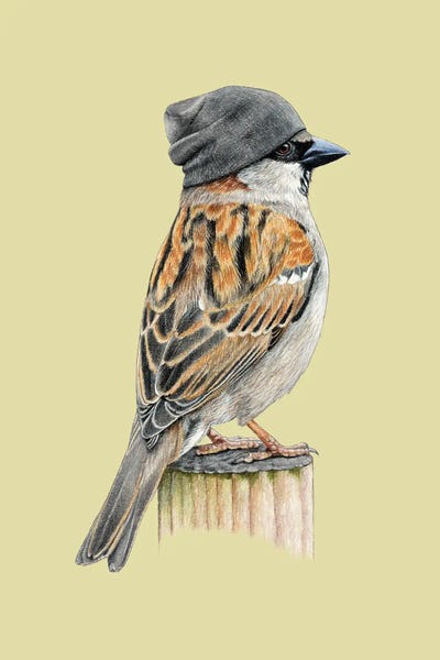 Office Humor: Tree Sparrow II by Mikhail Vedernikov