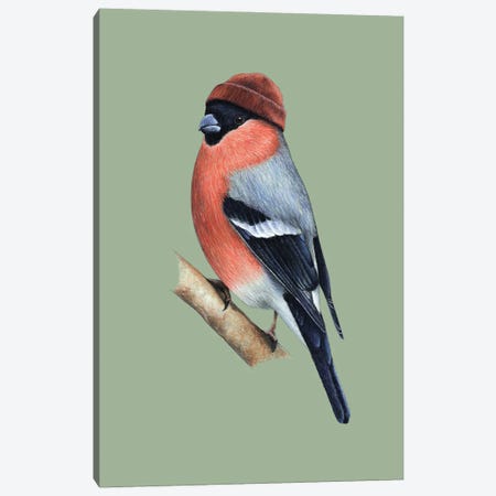 Eurasian Bullfinch II Canvas Print #MIV176} by Mikhail Vedernikov Canvas Artwork
