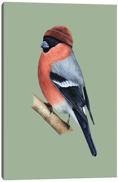 Eurasian Bullfinch II Canvas Art Print - Mikhail Vedernikov