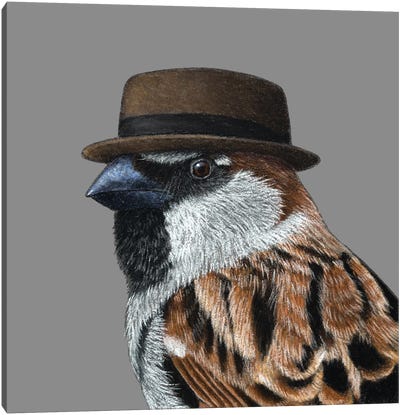 Tree Sparrow III Canvas Art Print - Sparrow Art