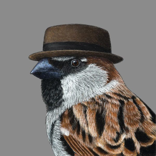 Office Humor: Tree Sparrow III by Mikhail Vedernikov