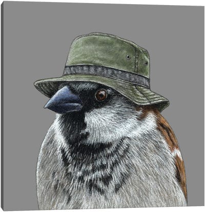 Tree Sparrow V Canvas Art Print - Sparrow Art