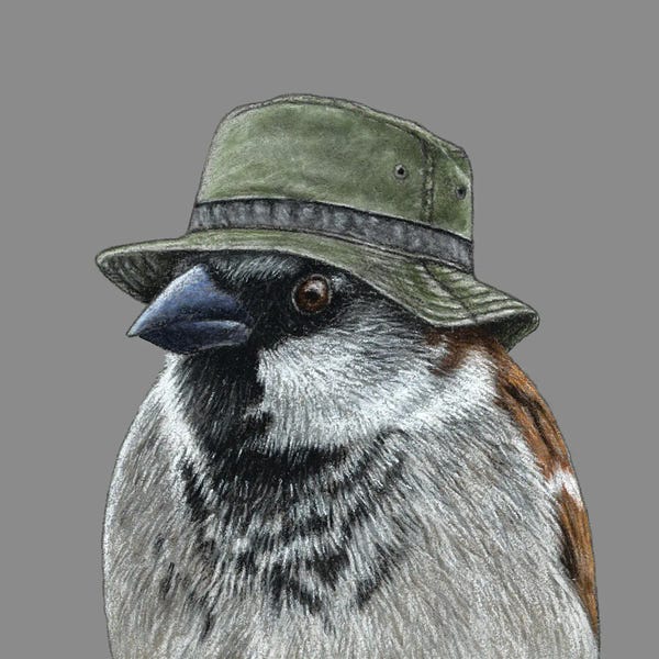 Office Humor: Tree Sparrow V by Mikhail Vedernikov