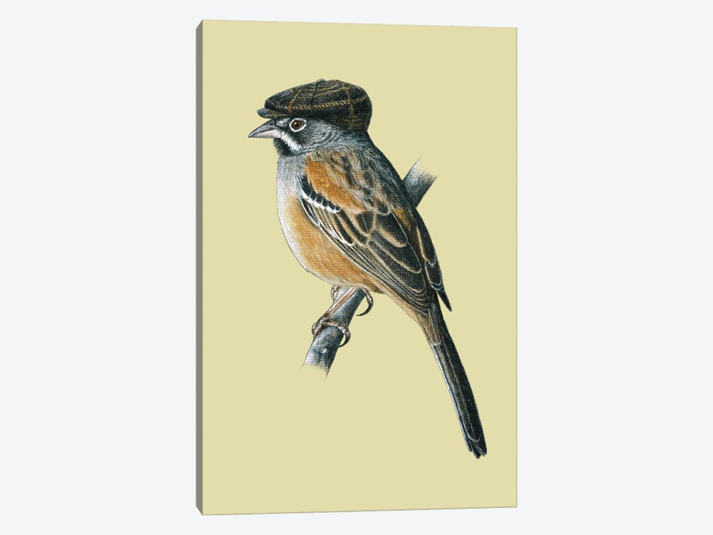Bridled Sparrow by Mikhail Vedernikov 1-piece Art Print
