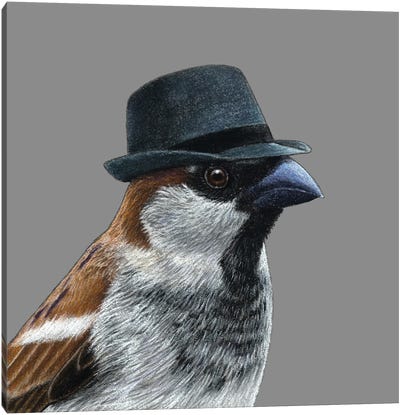 Tree Sparrow VI Canvas Art Print - Sparrow Art