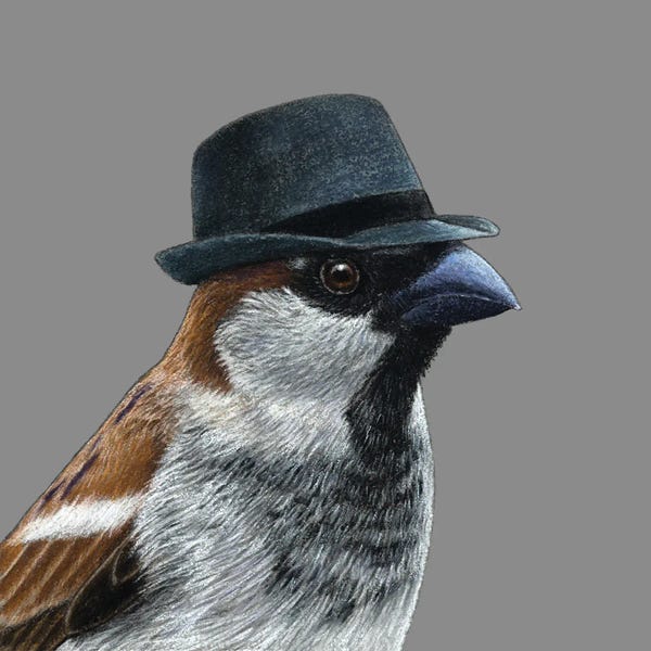 Office Humor: Tree Sparrow VI by Mikhail Vedernikov