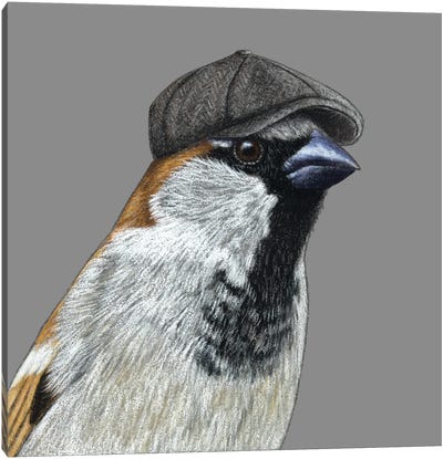 Tree Sparrow VII Canvas Art Print - Mikhail Vedernikov