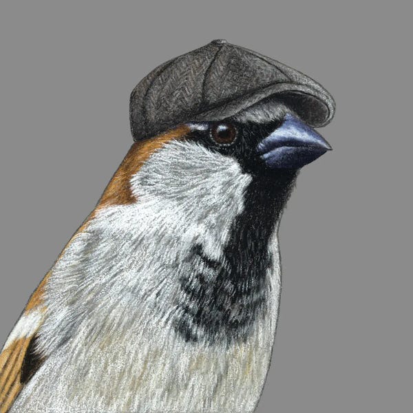 Office Humor: Tree Sparrow VII by Mikhail Vedernikov