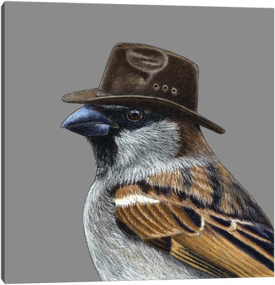 Tree Sparrow VIII Canvas Art Print - Sparrow Art