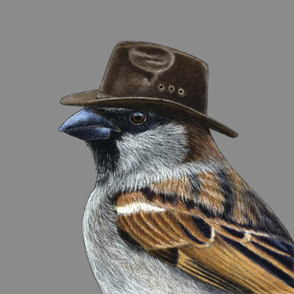 Office Humor: Tree Sparrow VIII by Mikhail Vedernikov