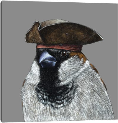 Tree Sparrow IX Canvas Art Print - Sparrow Art