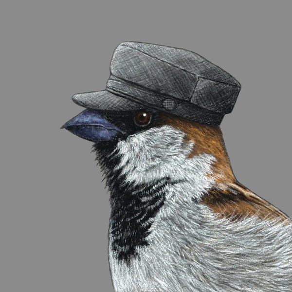 Office Humor: Tree Sparrow X by Mikhail Vedernikov