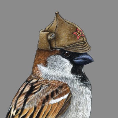 Tree Sparrow XI by Mikhail Vedernikov canvas print