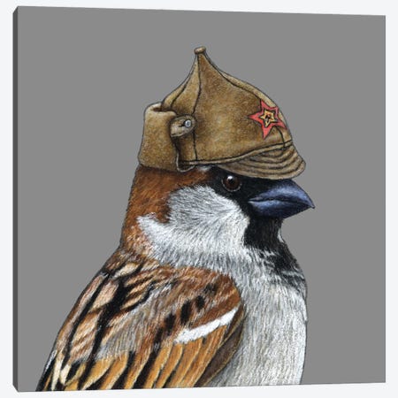 Tree Sparrow XI Canvas Print #MIV185} by Mikhail Vedernikov Canvas Art Print