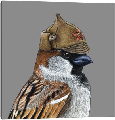Tree Sparrow XI Canvas Art Print - Mikhail Vedernikov
