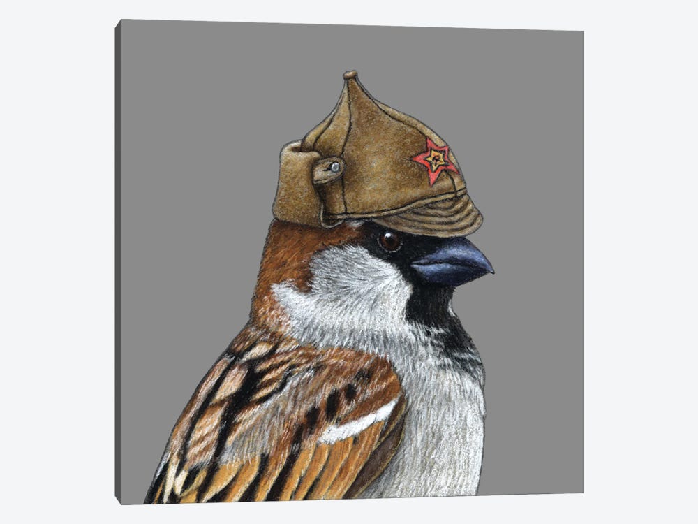 Tree Sparrow XI by Mikhail Vedernikov 1-piece Canvas Art Print