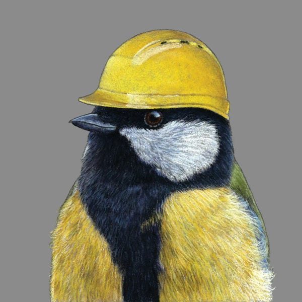 Mikhail Vedernikov: Great Tit II by Mikhail Vedernikov