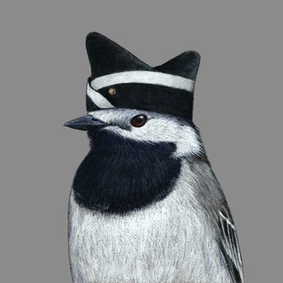 White Wagtail II by Mikhail Vedernikov canvas print