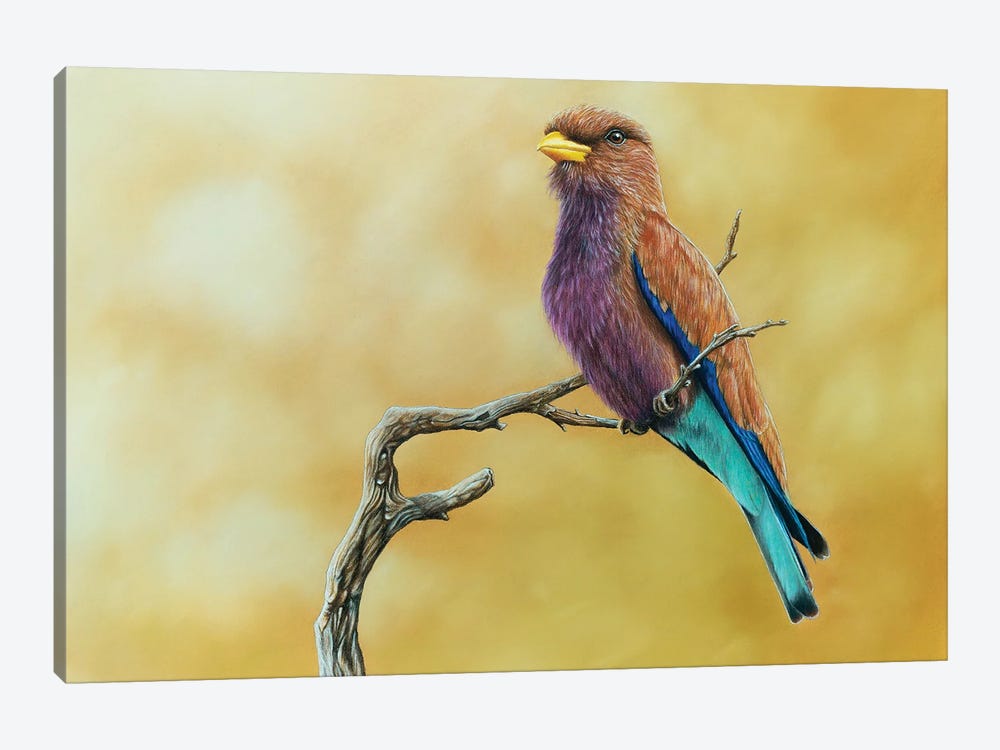 Broad-Billed Roller by Mikhail Vedernikov 1-piece Canvas Wall Art