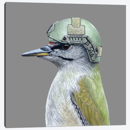 Grey-Headed Woodpecker Canvas Print #MIV191} by Mikhail Vedernikov Canvas Art Print