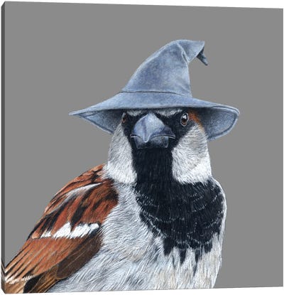 House Sparrow II Canvas Art Print - Mikhail Vedernikov