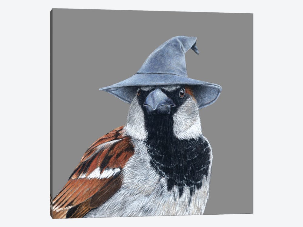 House Sparrow II by Mikhail Vedernikov 1-piece Art Print