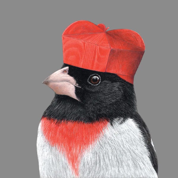 Mikhail Vedernikov: Rose-Breasted Grosbeak II by Mikhail Vedernikov