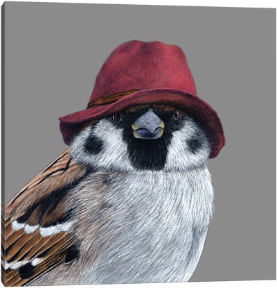 Tree Sparrow XII Canvas Art Print - Sparrow Art