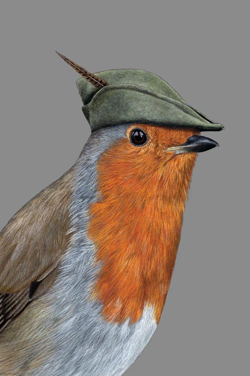 Robin Hood by Mikhail Vedernikov wall art