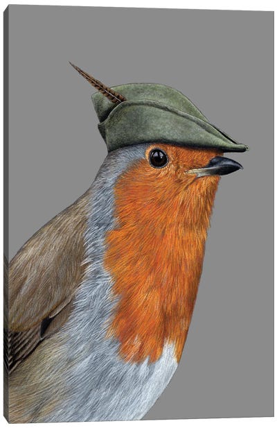 Robin Hood Canvas Art Print - Robin Art