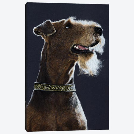 Airedale Terrier Canvas Print #MIV1} by Mikhail Vedernikov Canvas Art